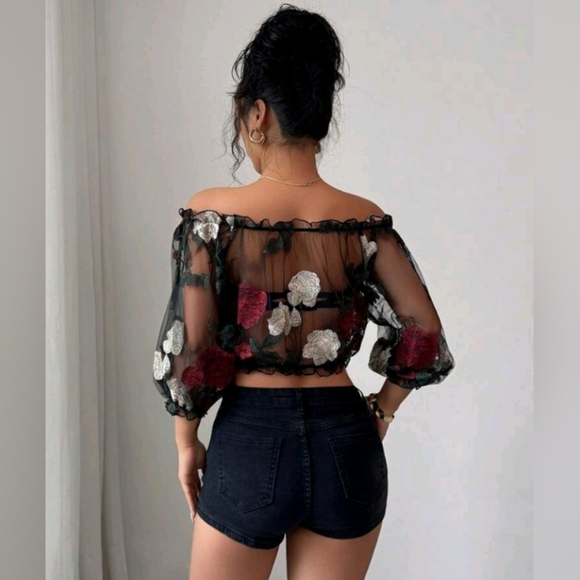 Women's Vacation Casual Sheer Mesh Embroidered Blouse - Picture 3 of 5